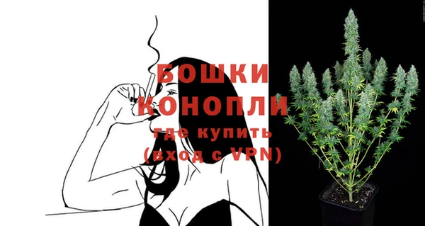 сатива Балабаново