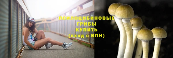 сатива Балабаново