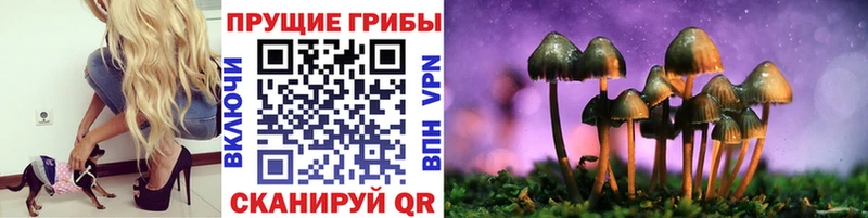Псилоцибиновые грибы мухоморы MEGA маркетплейс Юрьев-Польский